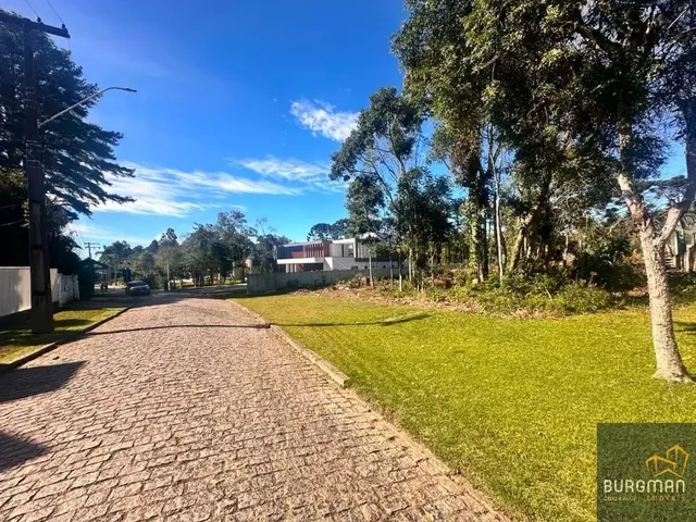 Sítio à venda, no bairro Dom Rodrigo em São José Dos Pinhais