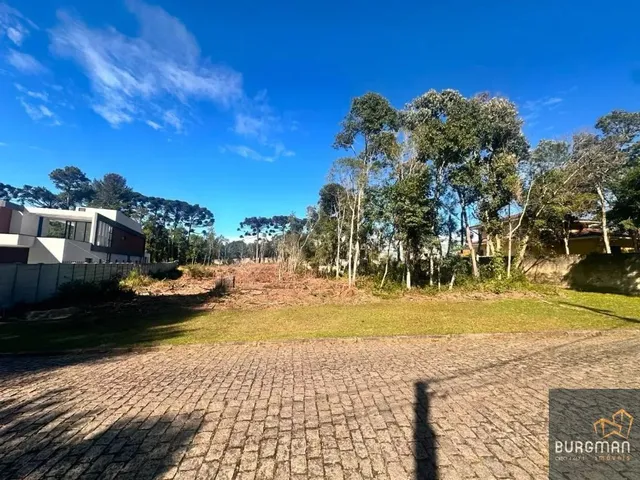 Sítio à venda, no bairro Dom Rodrigo em São José Dos Pinhais