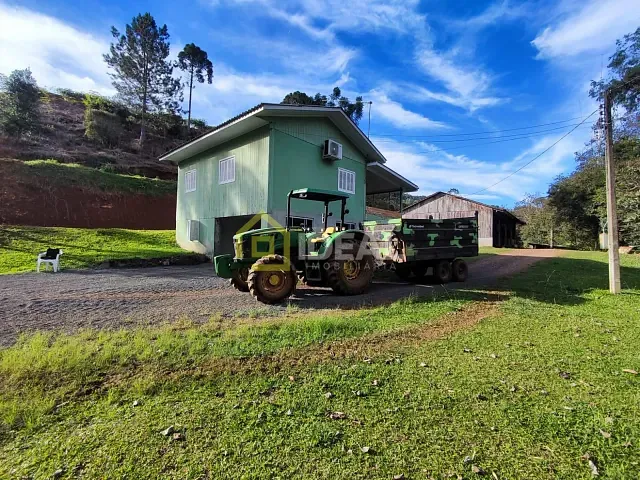 Sítio com 20000m², à venda, no bairro Área Rural de Concórdia em Concórdia