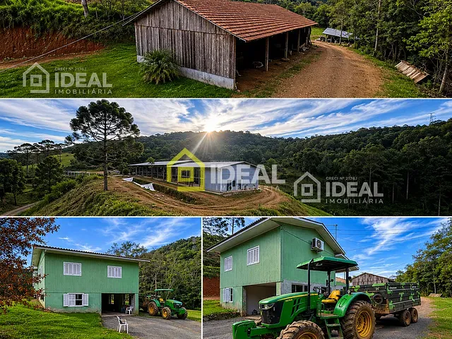Sítio com 20000m², à venda, no bairro Área Rural de Concórdia em Concórdia