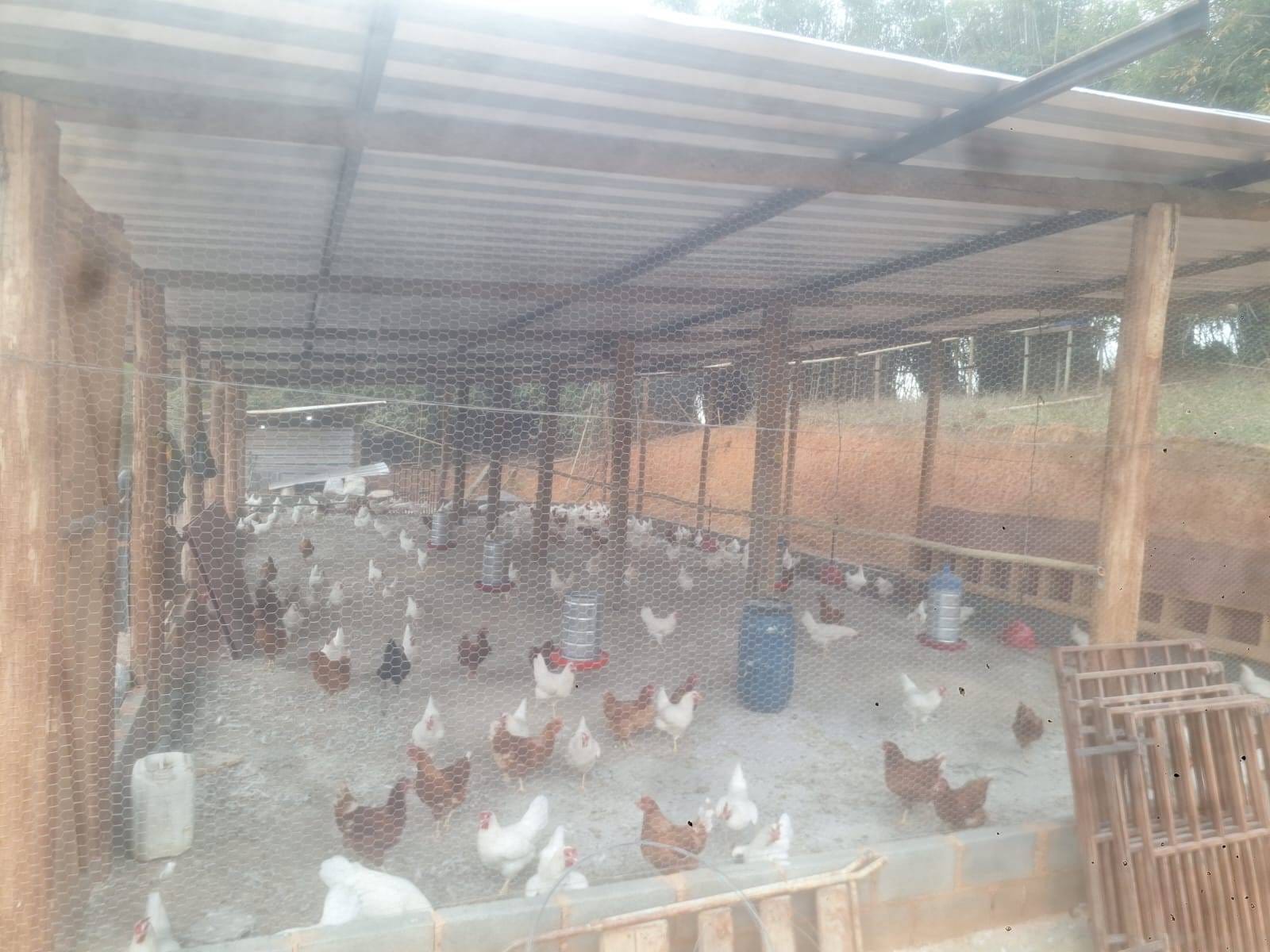 Sítio à venda, Zona Rural, Piau, MG - foto 40