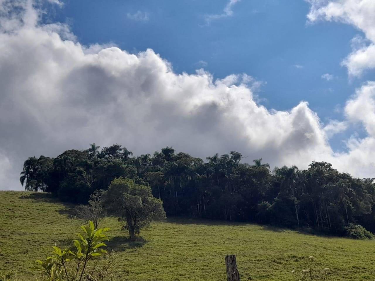 Sítio à venda, Zona Rural, Piau, MG - foto 12