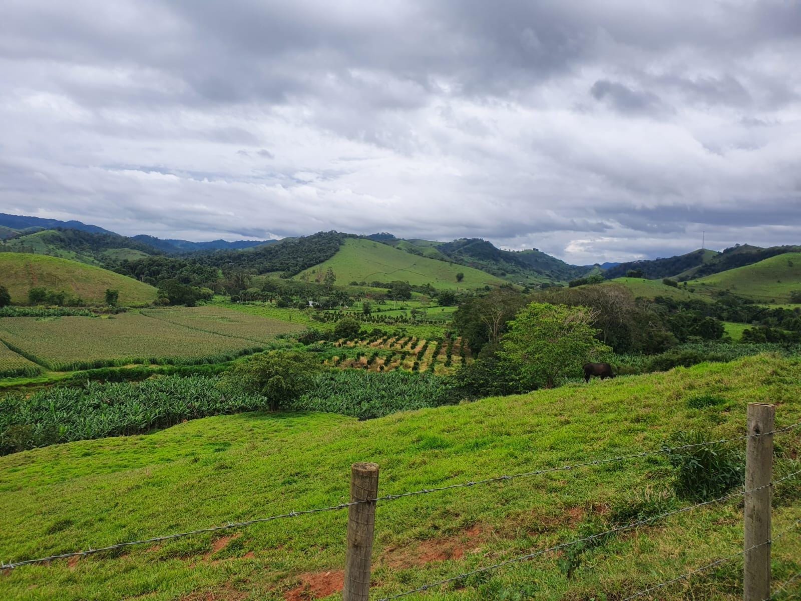 Sítio à venda, Zona Rural, Piau, MG - foto 15