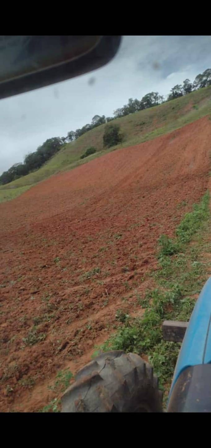 Sítio à venda, Zona Rural, Piau, MG - foto 17