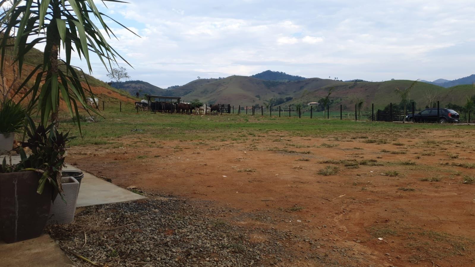 Sítio à venda, Zona Rural, Piau, MG - foto 19