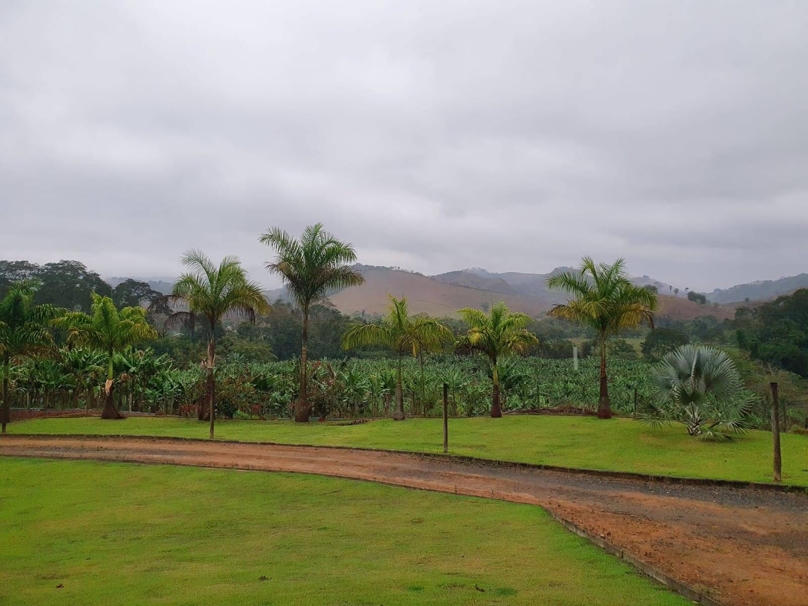 Sítio à venda, Zona Rural, Piau, MG - foto 20
