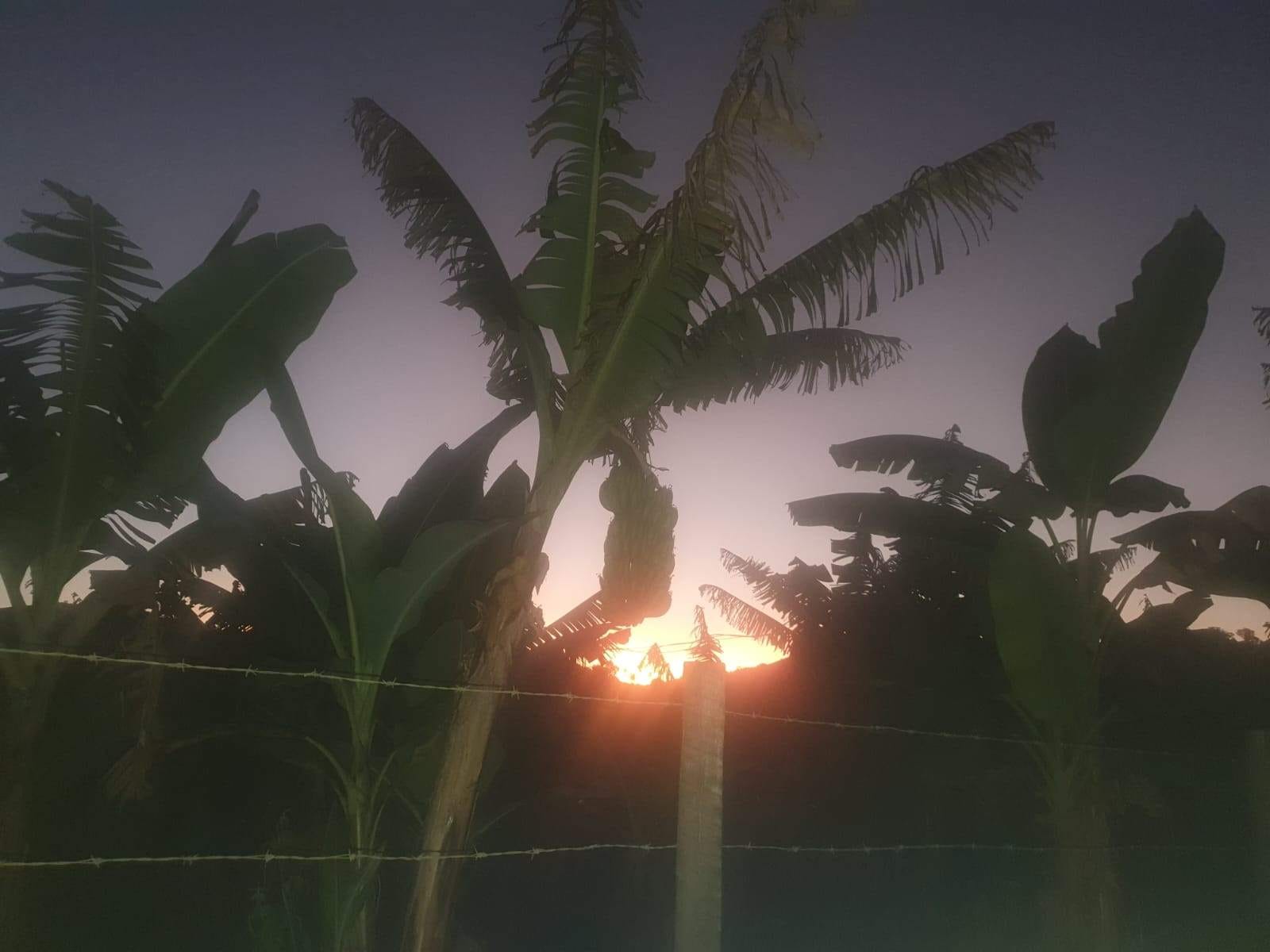 Sítio à venda, Zona Rural, Piau, MG - foto 21