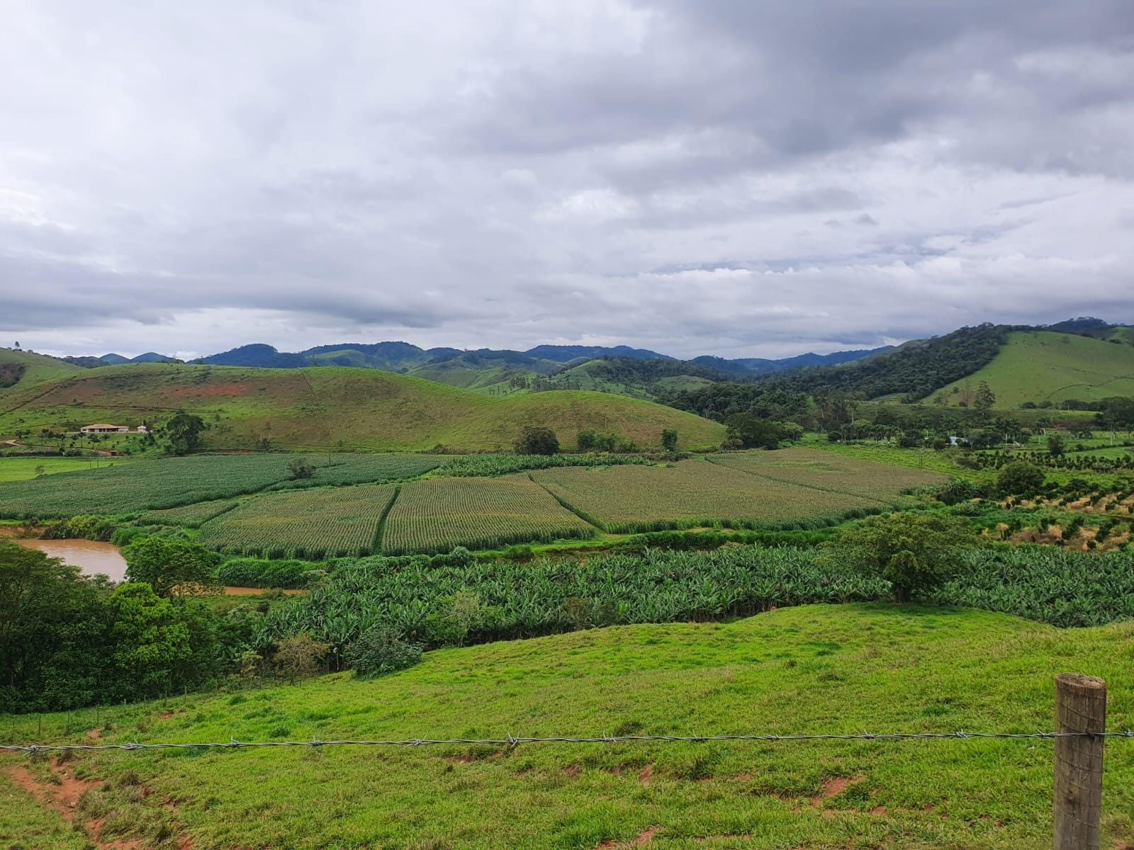 Sítio à venda, Zona Rural, Piau, MG - foto 25