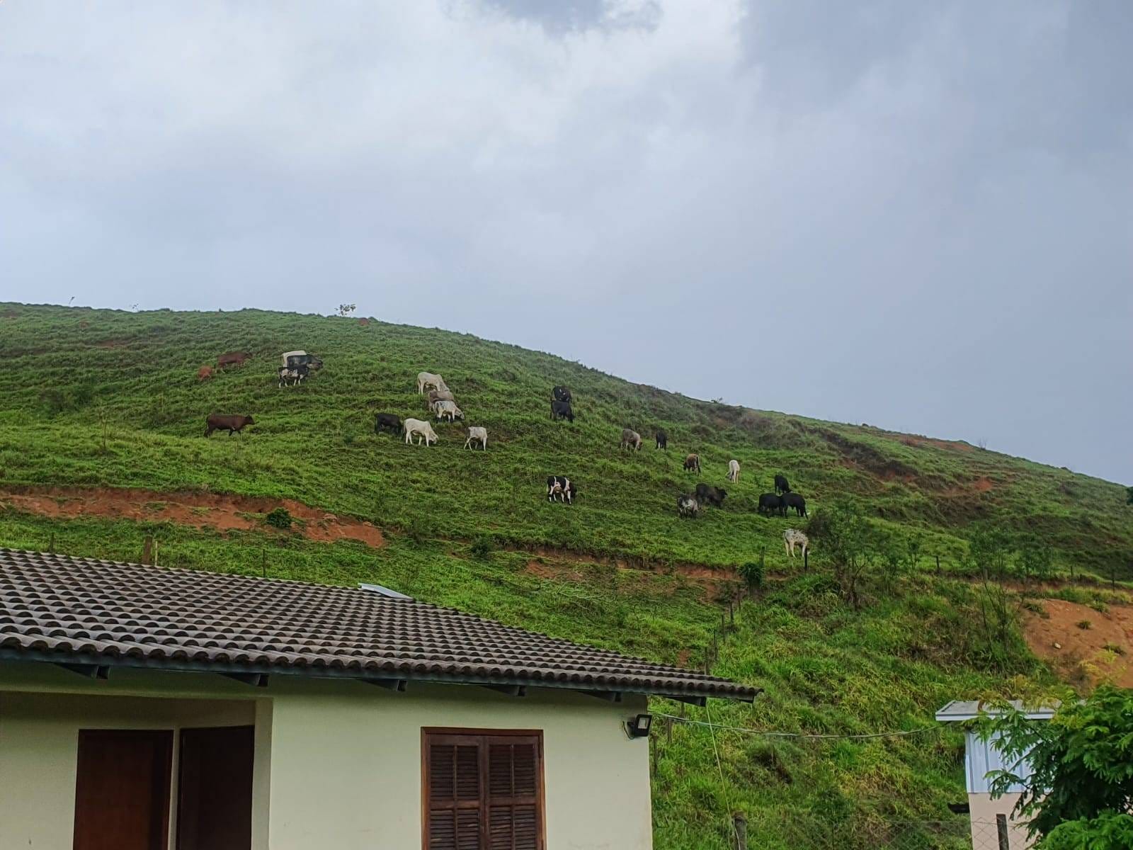 Sítio à venda, Zona Rural, Piau, MG - foto 27