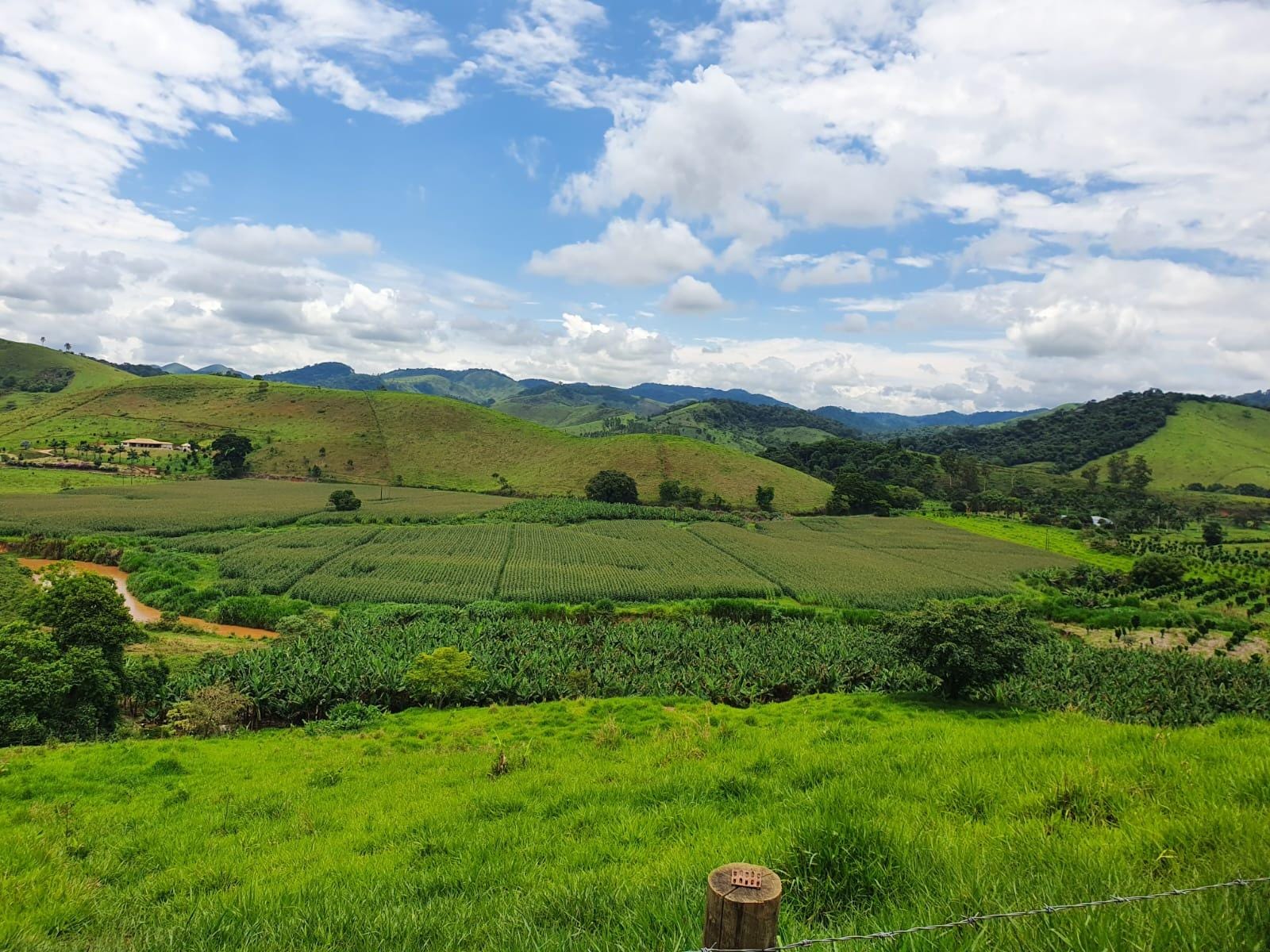 Sítio à venda, Zona Rural, Piau, MG - foto 31