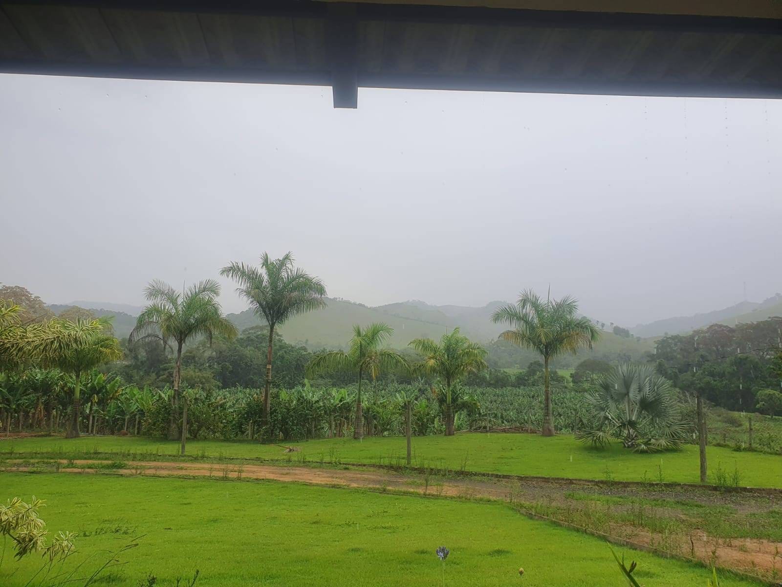 Sítio à venda, Zona Rural, Piau, MG - foto 32