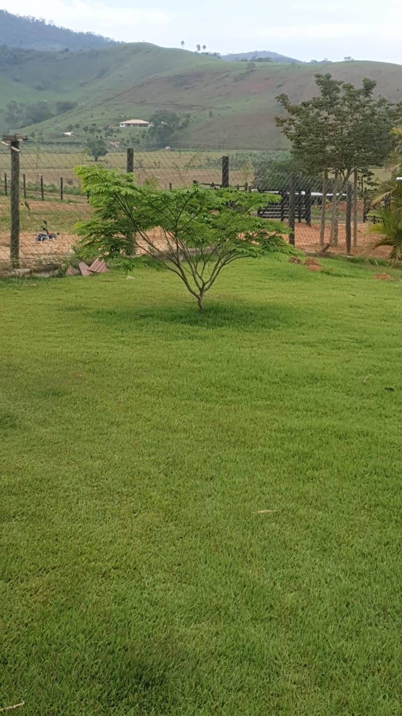 Sítio à venda, Zona Rural, Piau, MG - foto 34