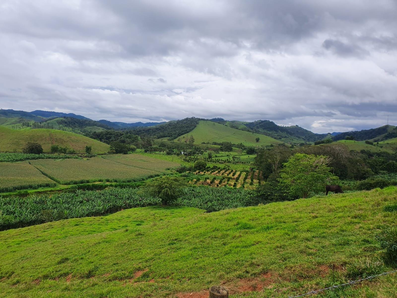 Sítio à venda, Zona Rural, Piau, MG - foto 35