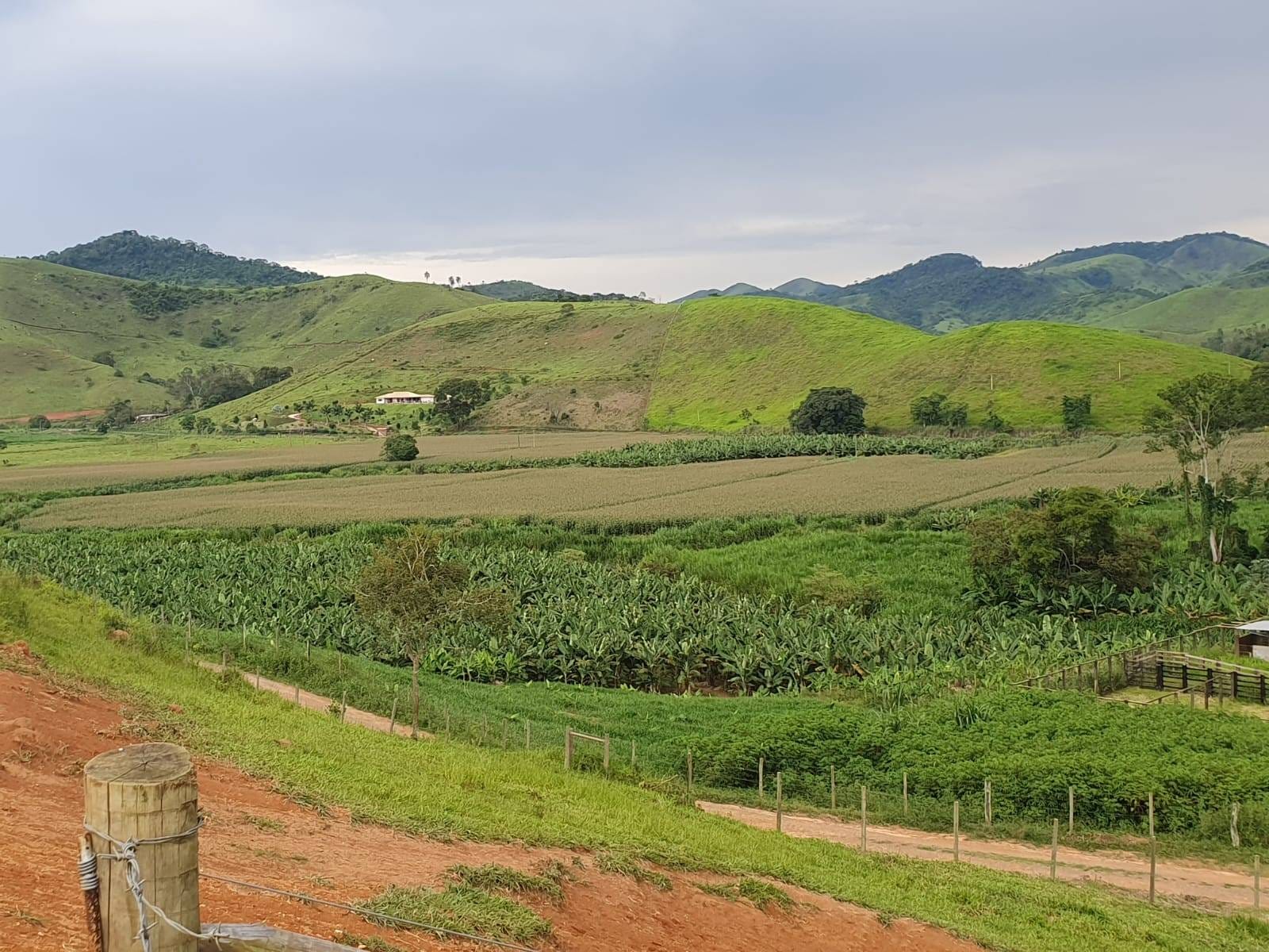 Sítio à venda, Zona Rural, Piau, MG - foto 37