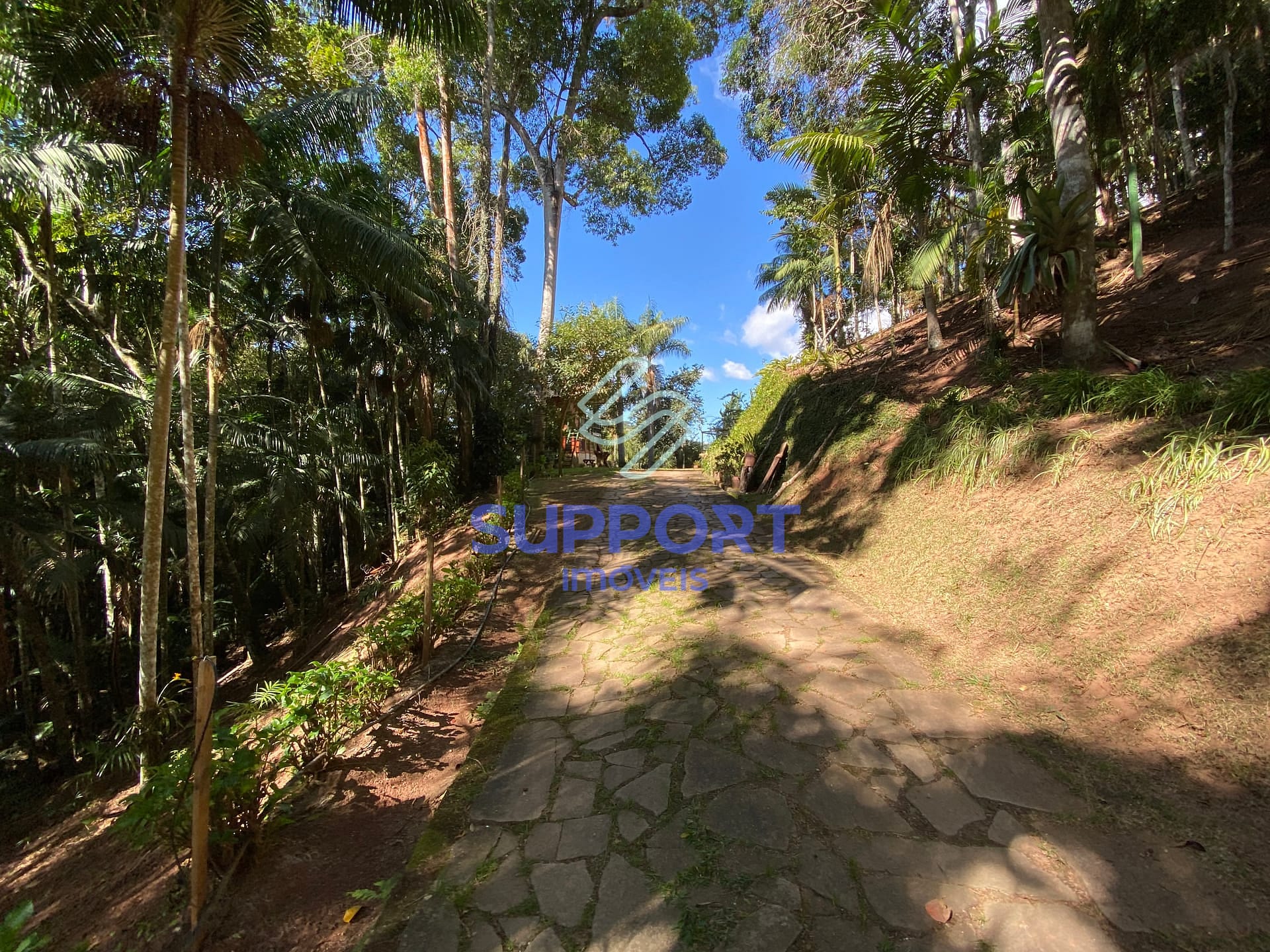 Chácara, 4 quartos, 8 hectares - Foto 91