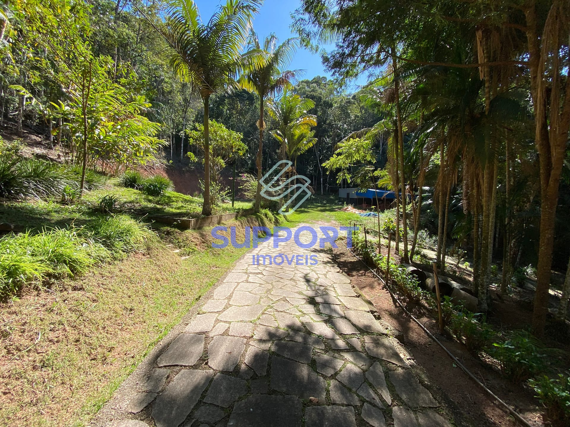 Chácara, 4 quartos, 8 hectares - Foto 92