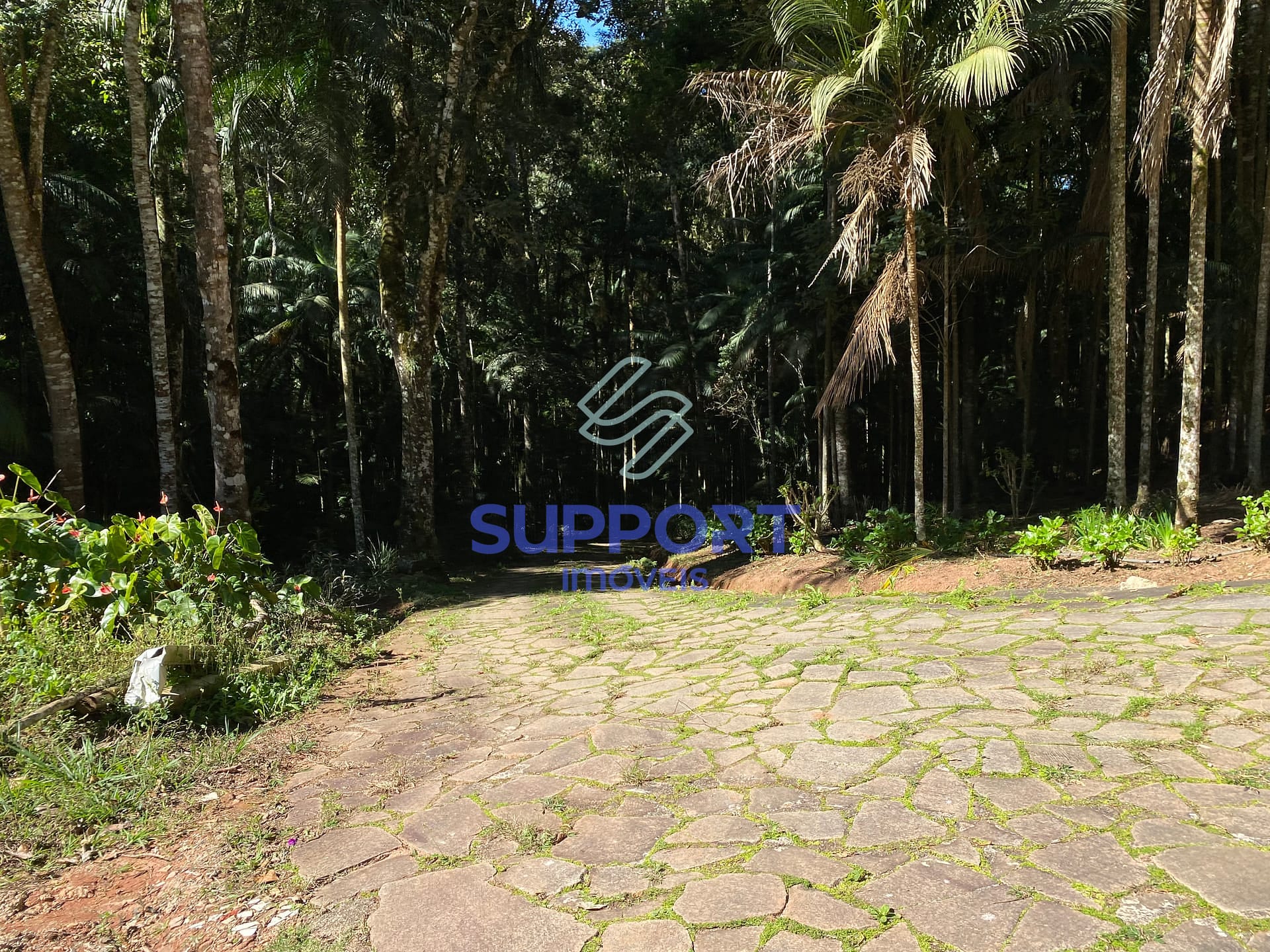 Chácara, 4 quartos, 8 hectares - Foto 94