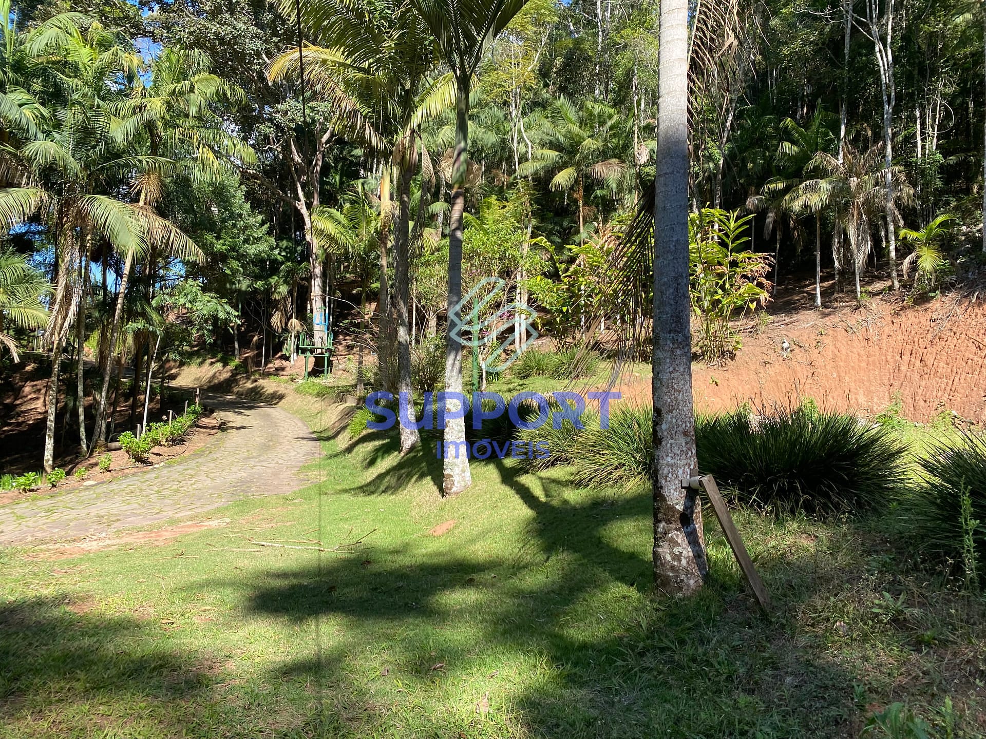 Chácara, 4 quartos, 8 hectares - Foto 95