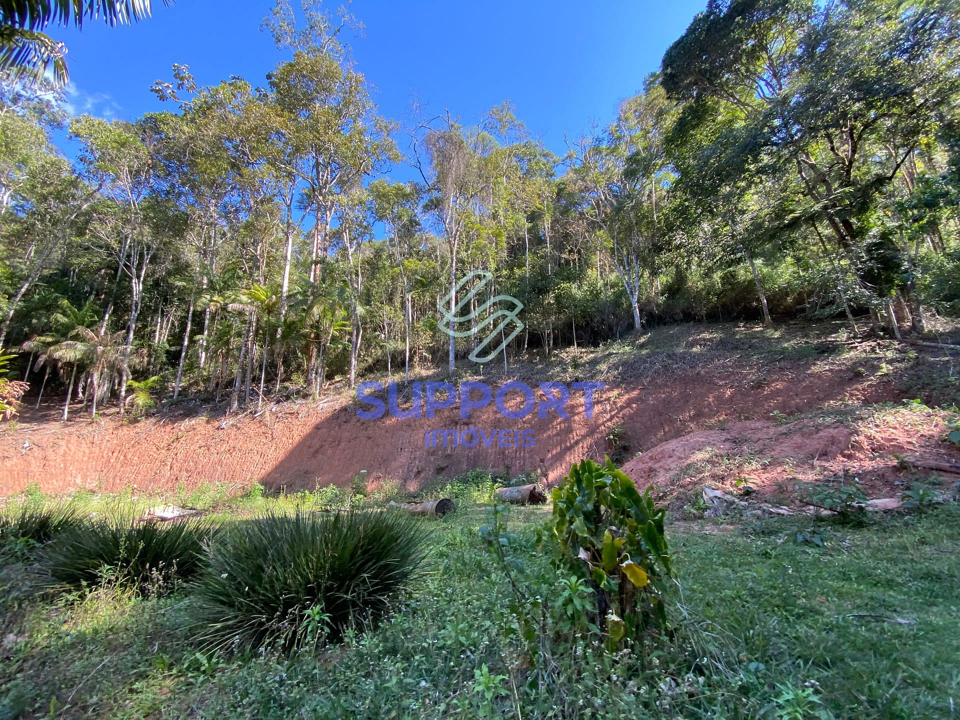 Chácara, 4 quartos, 8 hectares - Foto 96