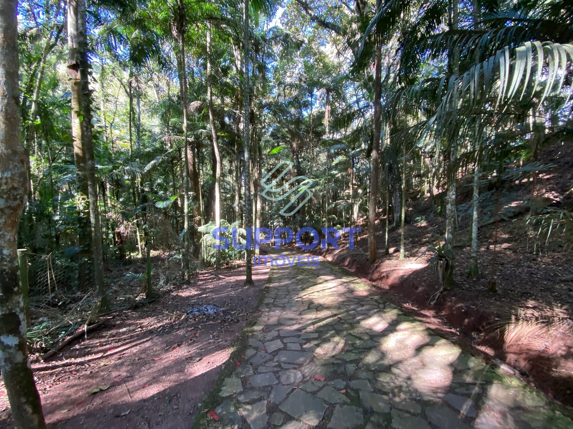 Chácara, 4 quartos, 8 hectares - Foto 101