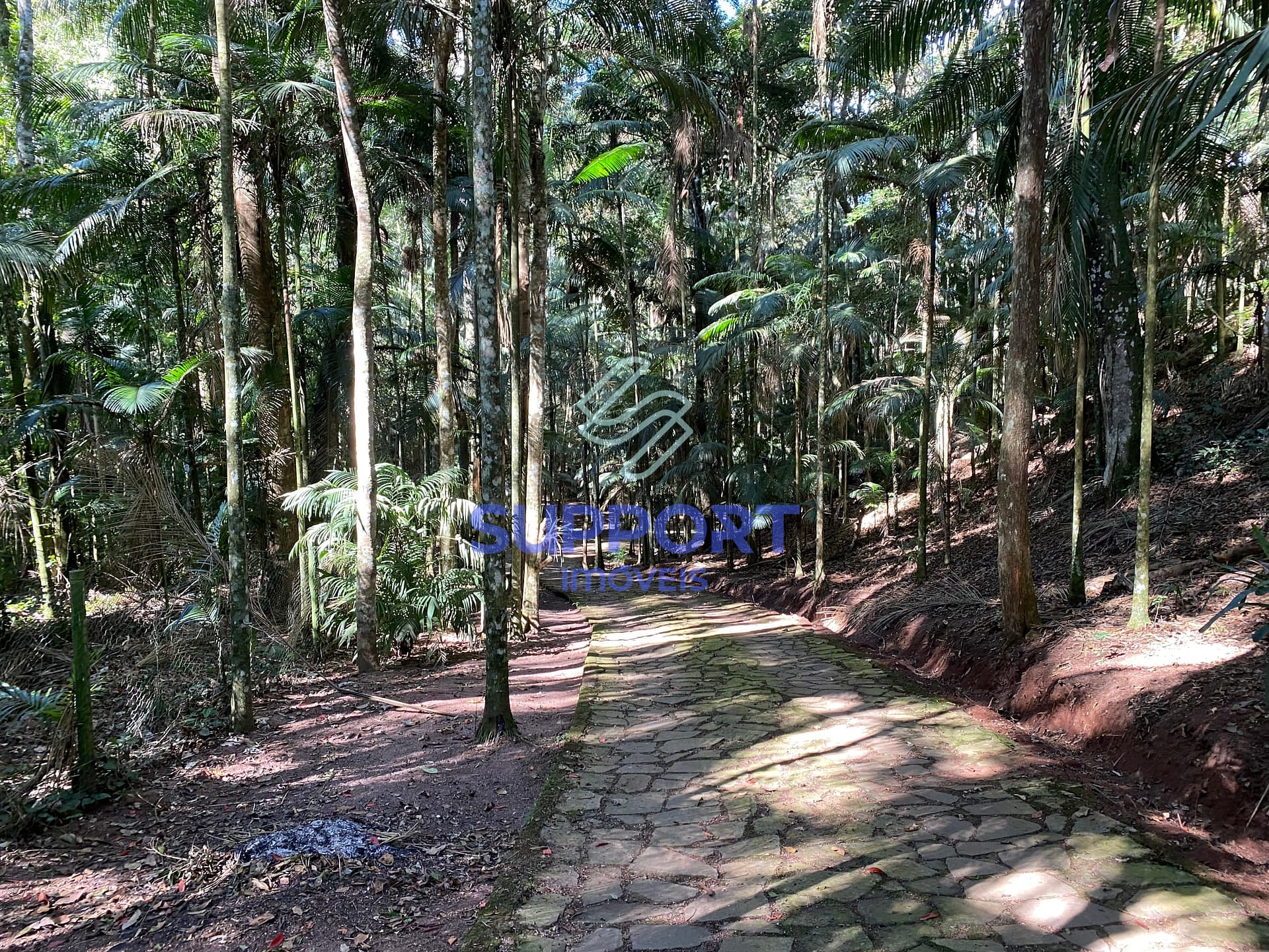 Chácara, 4 quartos, 8 hectares - Foto 102