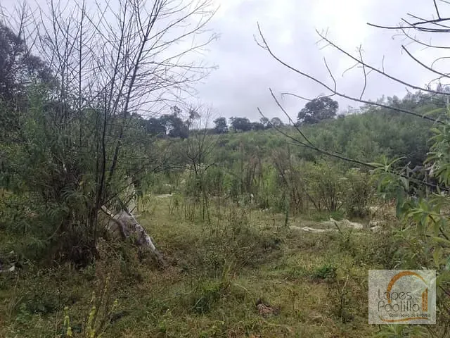 Sítio com 100000m², à venda, no bairro Ribeirão dos Porcos em Atibaia