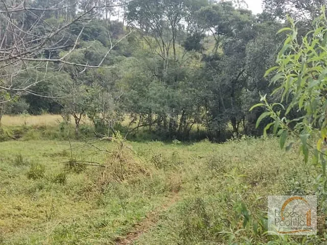 Sítio com 100000m², à venda, no bairro Ribeirão dos Porcos em Atibaia