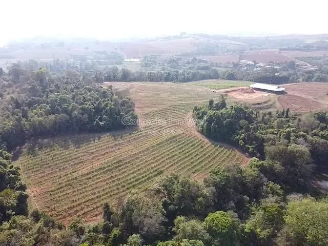 Terreno com 100762m², à venda, no bairro Área Rural de Santo Antônio de Posse em Santo Antônio de Posse