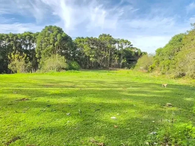 Sítio à venda, no bairro São Gabriel em Colombo