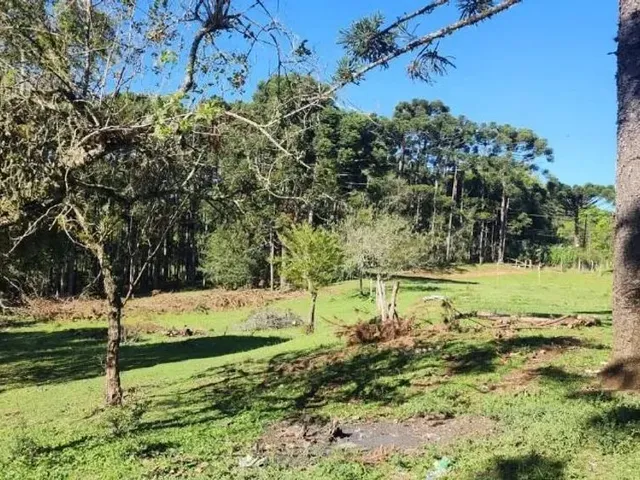 Sítio à venda, no bairro São Gabriel em Colombo