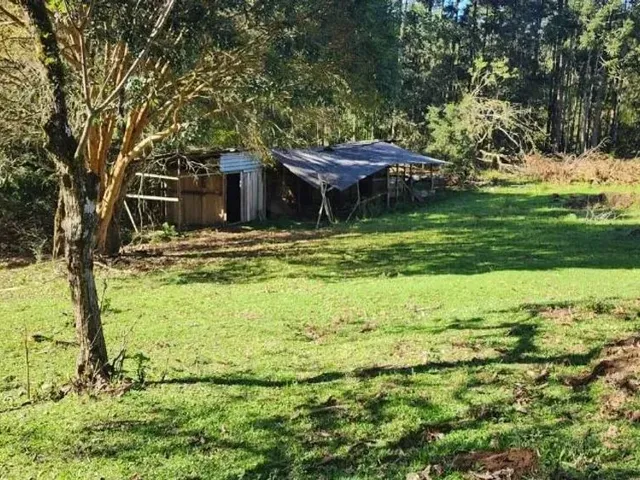 Sítio à venda, no bairro São Gabriel em Colombo