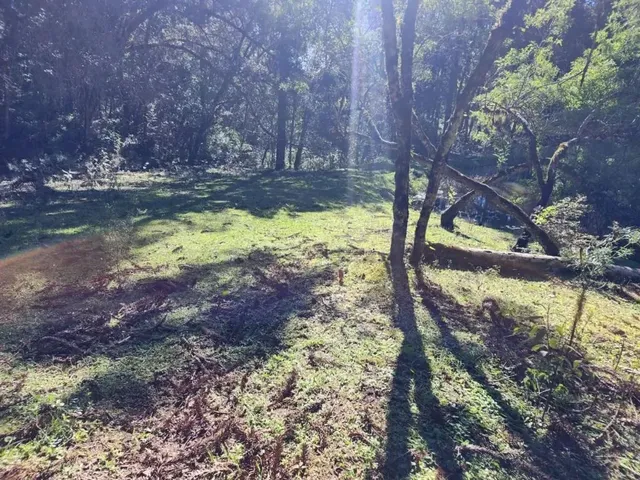 Sítio à venda, no bairro São Gabriel em Colombo