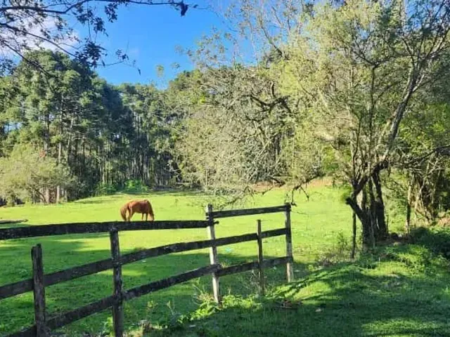 Sítio à venda, no bairro São Gabriel em Colombo
