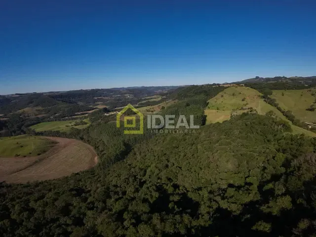 Sítio com 66000m² 2 quartos e 1 banheiro, à venda, no bairro Área Rural de Concórdia em Concórdia