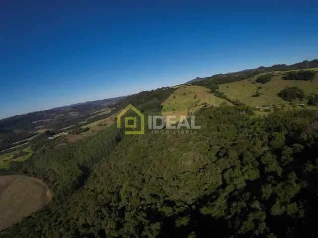 Sítio com 66000m² 2 quartos e 1 banheiro, à venda, no bairro Área Rural de Concórdia em Concórdia