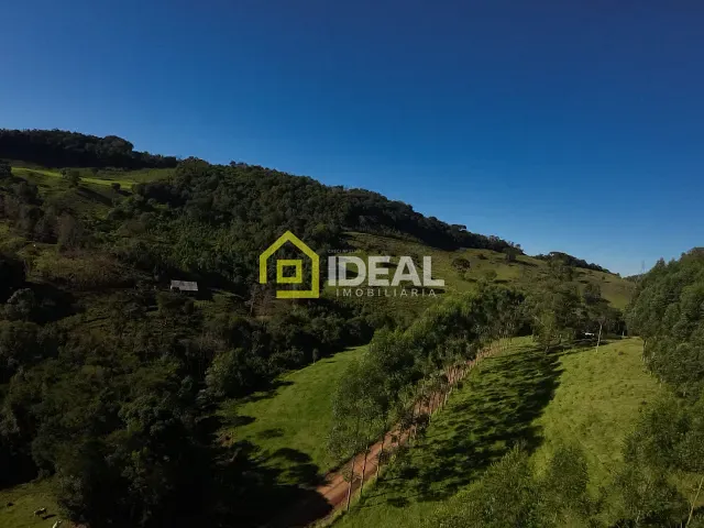 Sítio com 66000m² 2 quartos e 1 banheiro, à venda, no bairro Área Rural de Concórdia em Concórdia