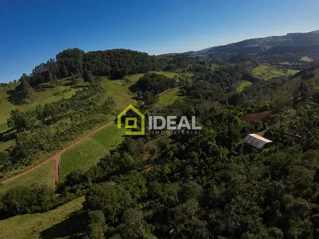 Sítio com 66000m² 2 quartos e 1 banheiro, à venda, no bairro Área Rural de Concórdia em Concórdia