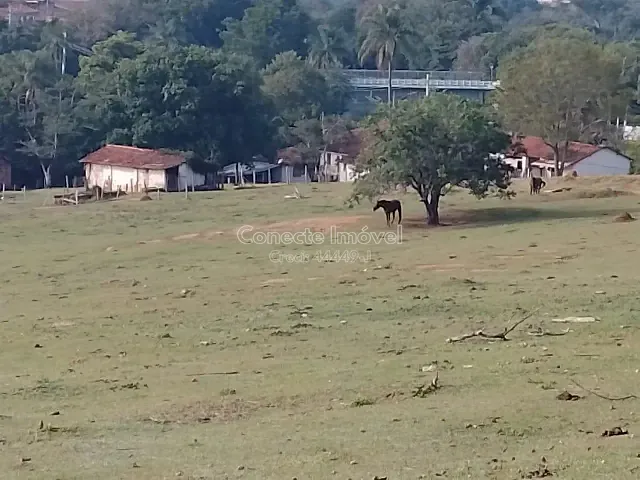 Terreno com 292000m², à venda, no bairro Rov. João Beira em Pedreira