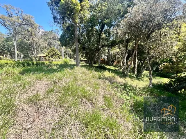 Sítio à venda, no bairro Borda Do Campo em São José Dos Pinhais