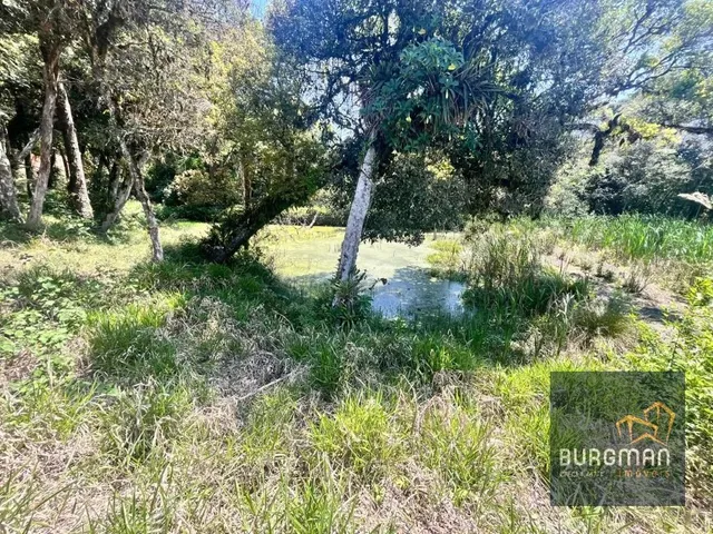 Sítio à venda, no bairro Borda Do Campo em São José Dos Pinhais