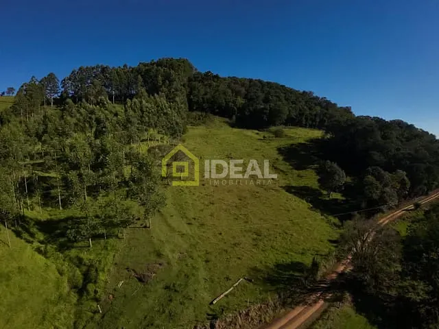 Sítio com 114260m², à venda, no bairro Área Rural de Concórdia em Concórdia