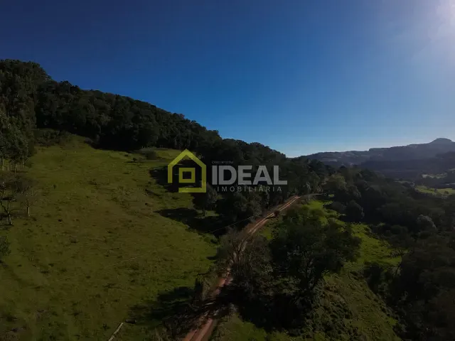 Sítio com 114260m², à venda, no bairro Área Rural de Concórdia em Concórdia