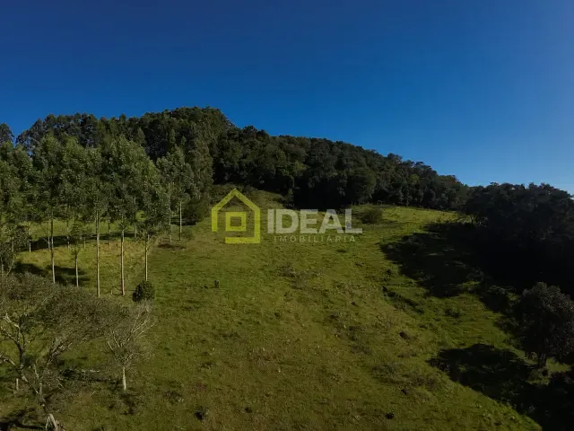 Sítio com 114260m², à venda, no bairro Área Rural de Concórdia em Concórdia