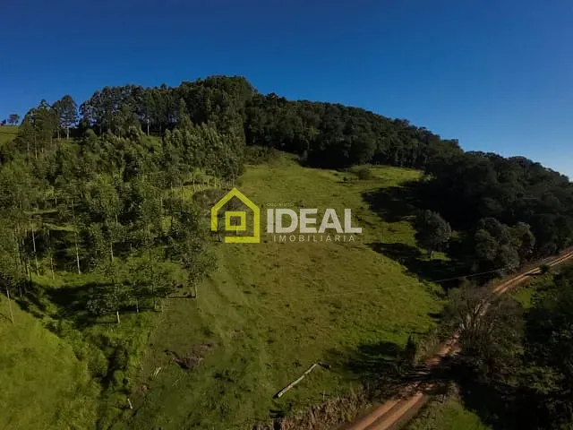 Sítio com 114260m², à venda, no bairro Área Rural de Concórdia em Concórdia