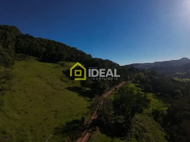 Sítio com 114260m², à venda, no bairro Área Rural de Concórdia em Concórdia