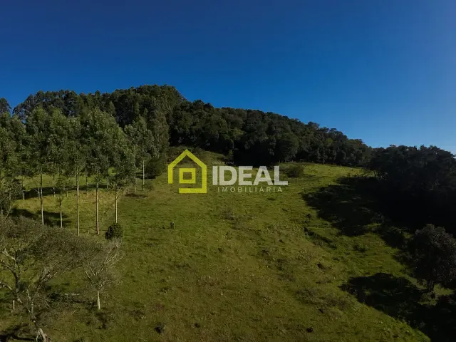 Sítio com 114260m², à venda, no bairro Área Rural de Concórdia em Concórdia