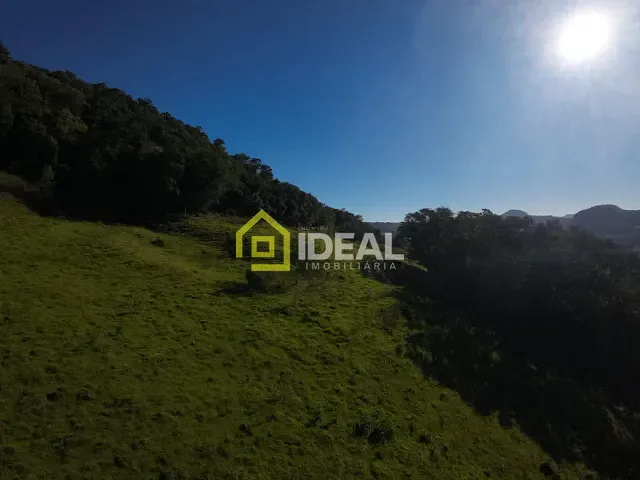Sítio com 114260m², à venda, no bairro Área Rural de Concórdia em Concórdia