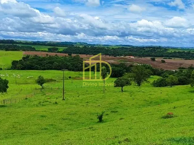 Sítio com 295200m², à venda, no bairro Área Rural em Itapetininga