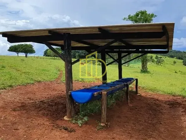 Sítio com 295200m², à venda, no bairro Área Rural em Itapetininga