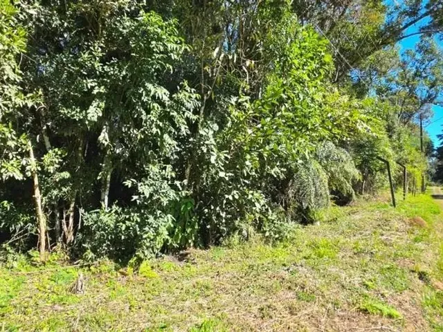 Sítio à venda, no bairro Chantecler em Piraquara